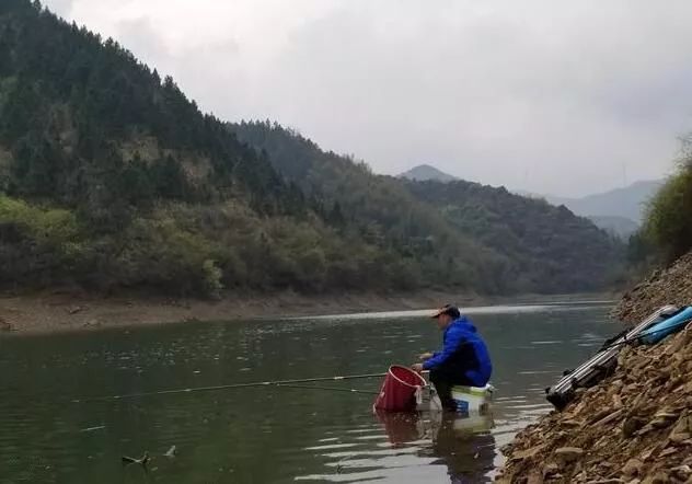 仕阳水库钓鱼最新,仕阳水库钓鱼最新指南与体验