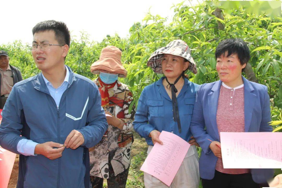 最新农村兽医补贴,最新农村兽医补贴，提升农村兽医服务，保障动物健康与食品安全