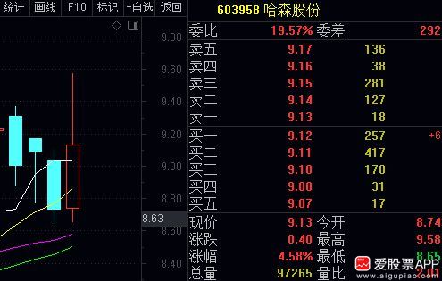 哈森股份最新消息,哈森股份最新消息全面解析