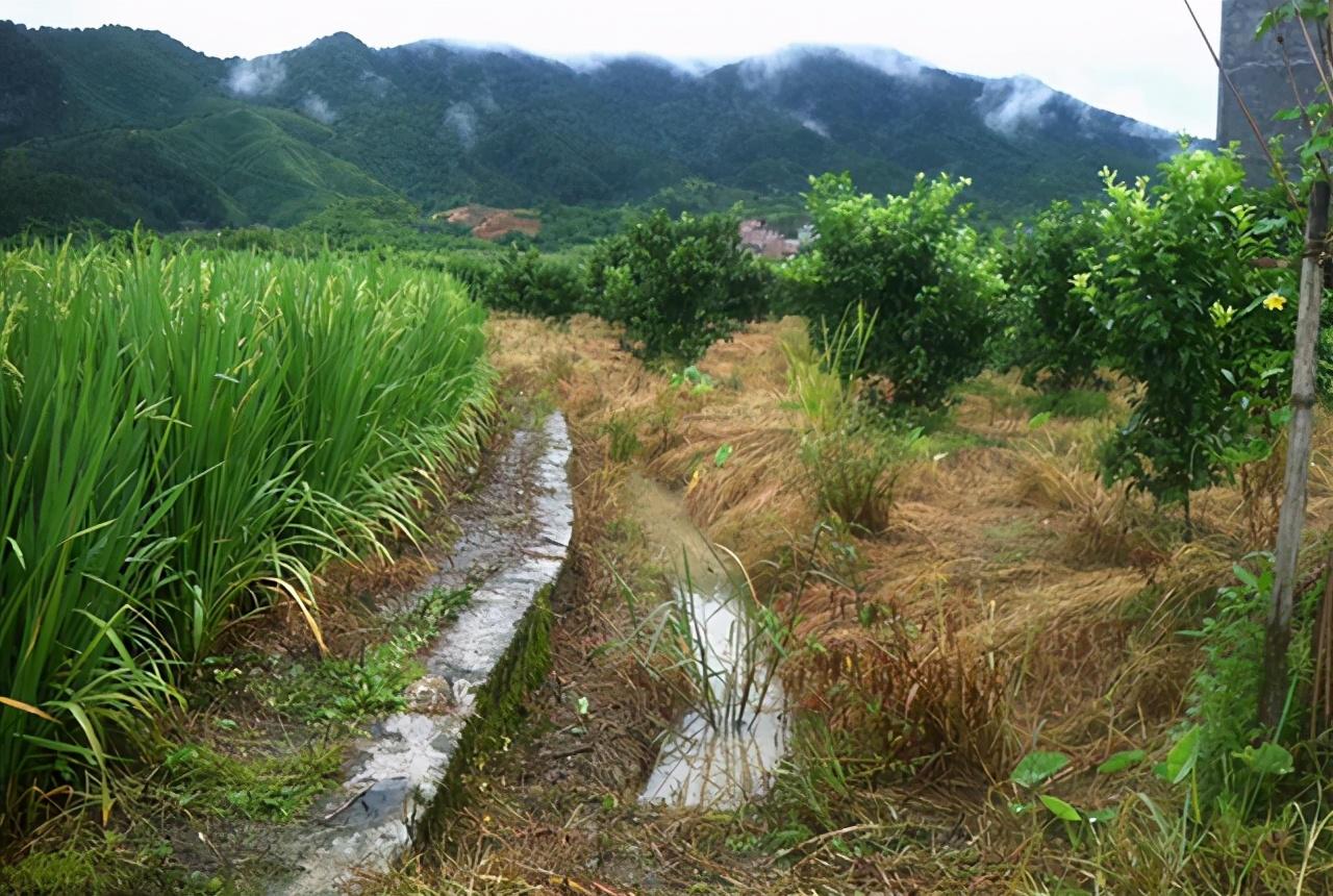 潮州台风最新消息今天,潮州台风最新消息今天，台风动态与应对措施