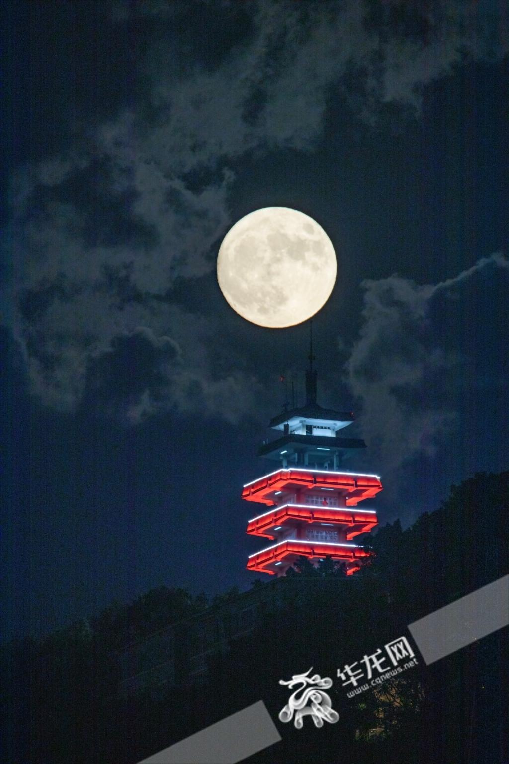 正版蓝月亮精准资料大全,正版蓝月亮精准资料大全，探索与理解