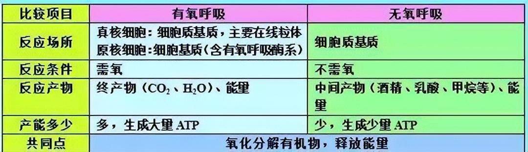 狼心狗肺 第7页