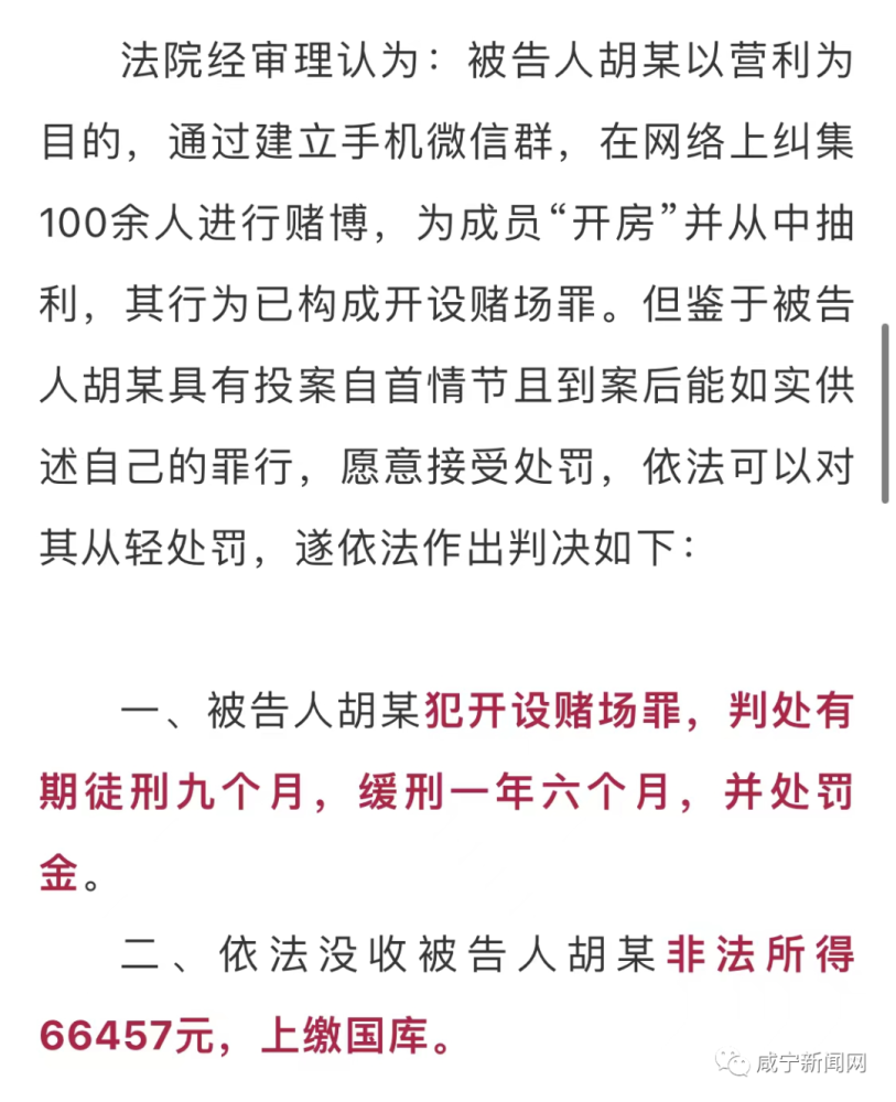 新澳门彩天天开奖资料一,新澳门彩天天开奖资料一，犯罪与违法的警示