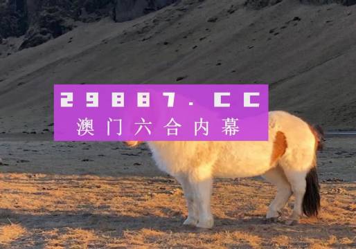 新澳门大众网官网开奖,新澳门大众网官网开奖，探索与体验