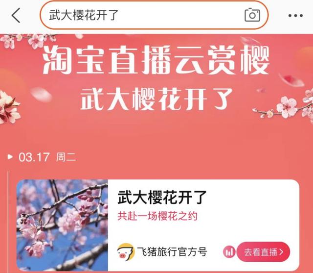 白小姐三期必开一肖,白小姐三期必开一肖——揭秘彩票背后的秘密