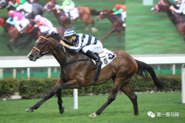 香港马资料更新最快的,香港马资料更新最快的来源与运用