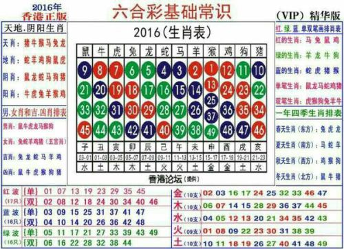 2024十二生肖49码表,揭秘2024十二生肖与数字彩票的奥秘，十二生肖49码表全解析