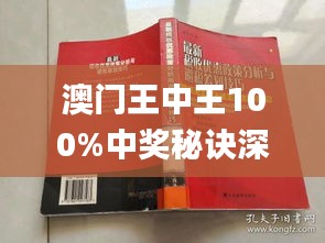 澳门王中王100期期中一期林,澳门王中王100期期中一期林，探索与解析