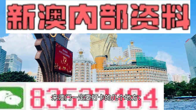 2025新澳门精准免费大全,澳门新未来，探索2025精准免费大全的独特魅力