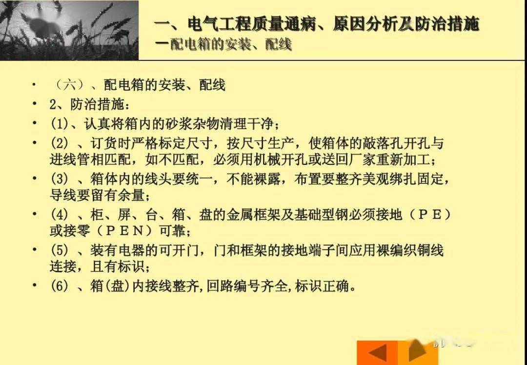 正版资料免费资料大全十点半,正版资料与免费资料大全，十点半的宝藏探索