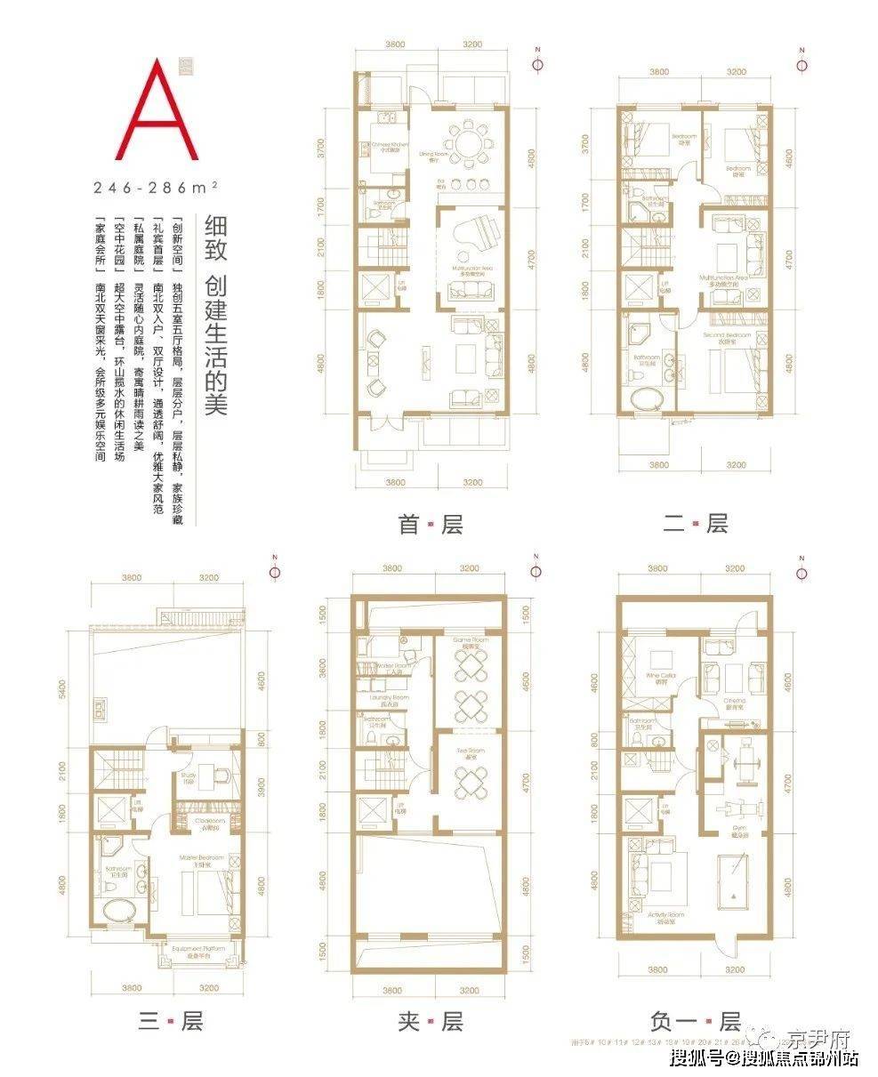 二四六期期更新资料大全,二四六期期更新资料大全，深度解析与实际应用