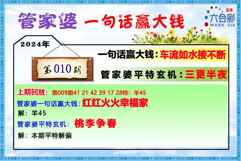 管家婆204年资料一肖,管家婆204年资料一肖详解