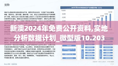 新澳2025年正版资料,新澳2025年正版资料深度解析