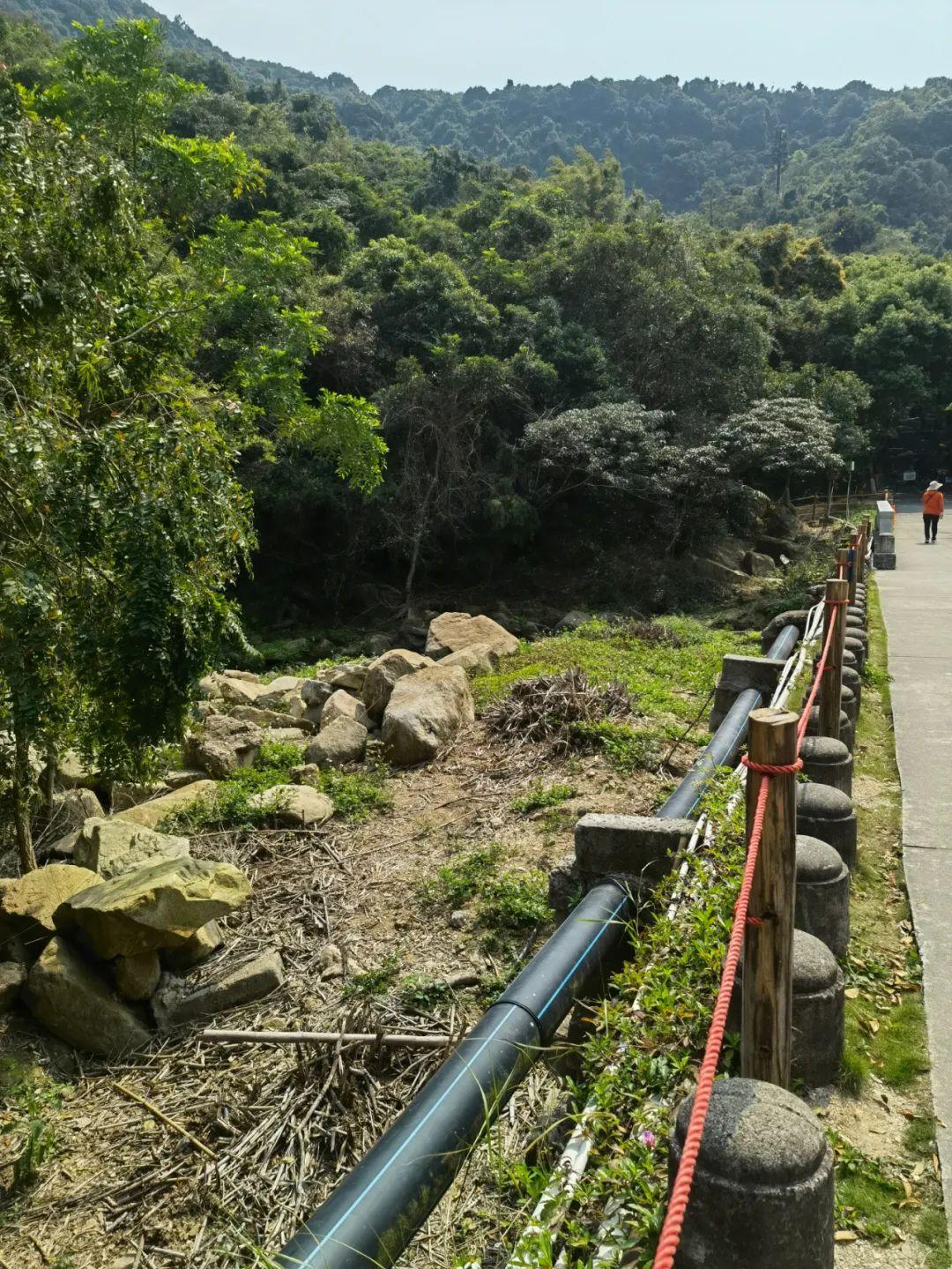 澳门雷锋心水论坛013期 02-03-05-08-09-39P：06,澳门雷锋心水论坛第013期，探索心水奥秘，传递雷锋精神——以数字连线解读人生百态