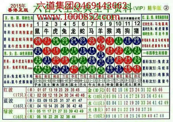 2025十二生肖49码表071期 08-09-10-15-27-35C：15,探索十二生肖与数字世界的神秘联系——以十二生肖49码表为例，解析未来期数预测的可能性（第071期）